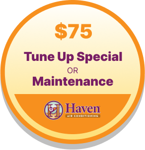 tuneup special