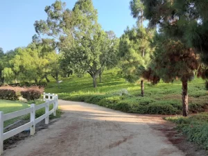 Discovering The Wonders Of Travis Ranch In Yorba Linda, CA