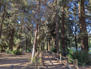 Discovering the Beauty of Carbon Canyon Regional Park in Yorba Linda, CA