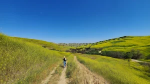 Discovering the Natural Wonders of Chino Hills State Park in Yorba Linda, CA