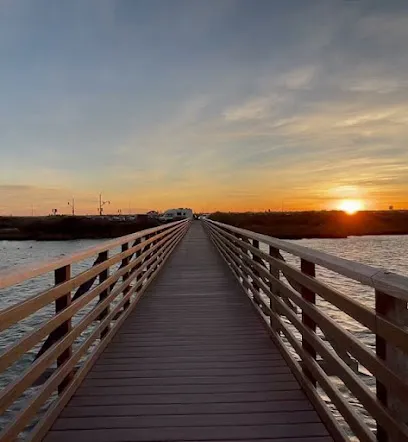 Explore the Beauty of Bolsa Chica Ecological Reserve in Huntington Beach - Haven Air Conditioning