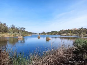 Laguna Niguel Regional Park Orange County