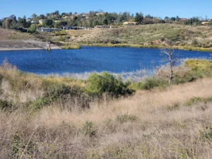 Peters Canyon Regional Park In Orange City