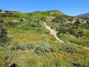 Santiago Oaks Regional Park, Orange City