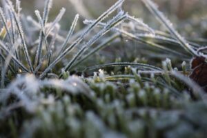 spring ac preparation after winter