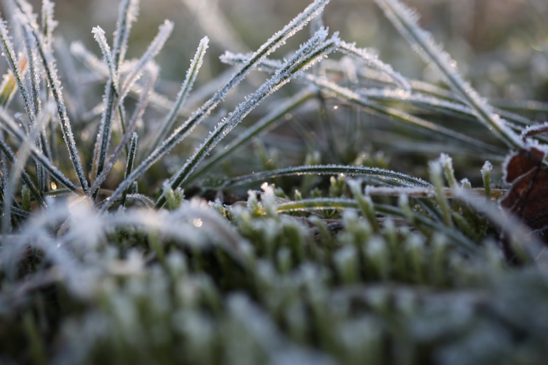 spring ac preparation after winter